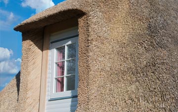 Daywall thatch roof disadvantages